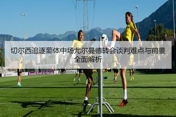 切尔西追逐葡体中场尤尔曼德转会谈判难点与前景全面解析（aoko）