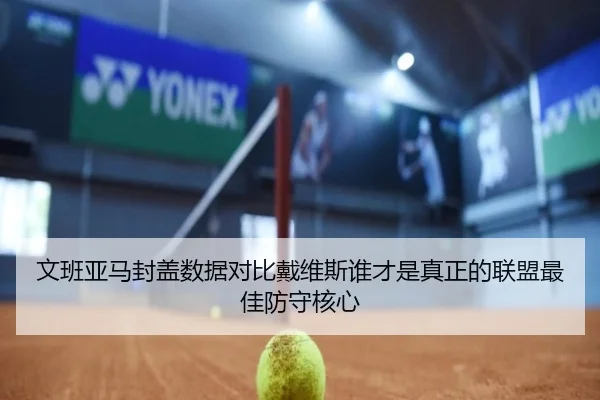 文班亚马封盖数据对比戴维斯谁才是真正的联盟最佳防守核心（aoko）